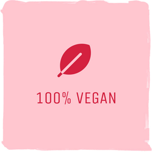 100 % Vegan Snacks Image